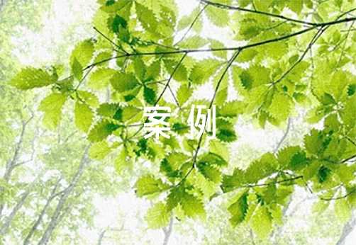 服务案例小故事五篇
