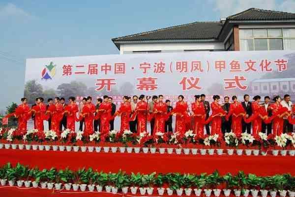 致富经甲鱼养殖技术视频_致富经甲鱼养殖视频_致富经甲鱼
