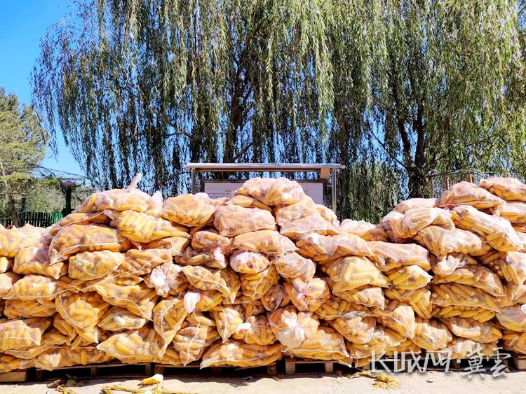 怎样致富致富_致富经=_致富网