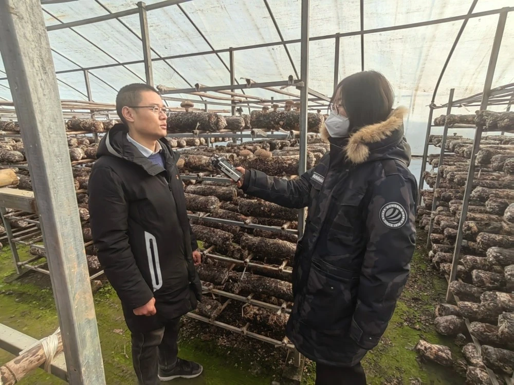 致富农民有情怀打一成语_农民致富经_致富农民李文龙