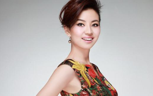 cctv致富经主持人_致富经主持人_致富故事汇主持人