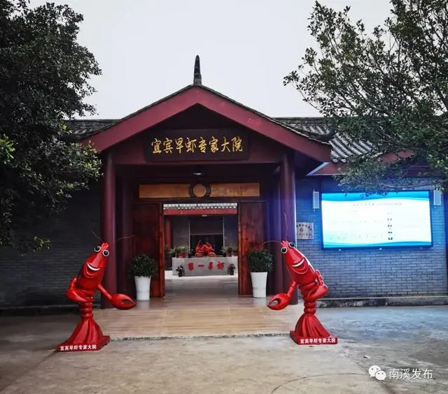 我是大运火炬手系列㉝杨海：返乡创业写下龙虾致富经
