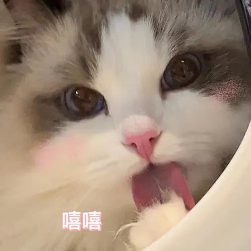 痘印过程_痘印心得经验_痘印如何处理