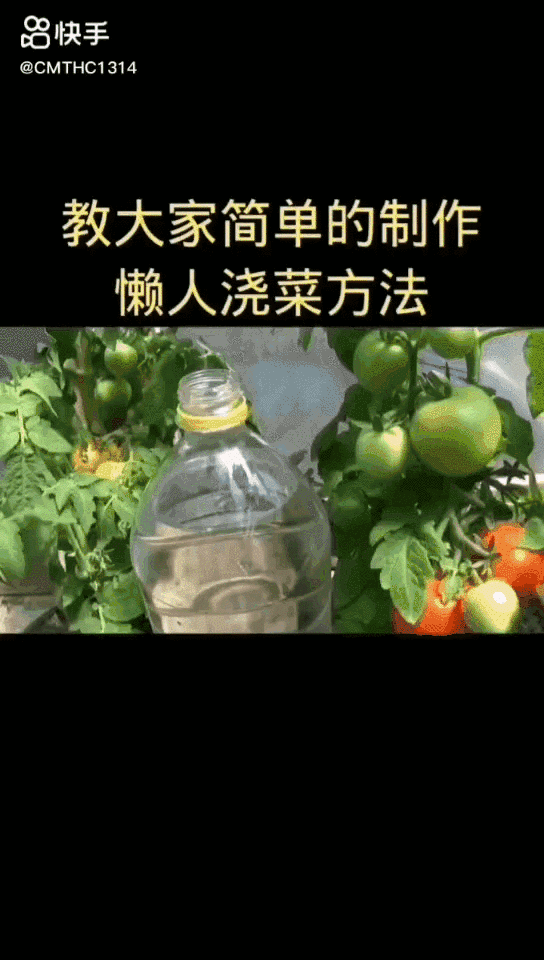 致富经养鱼一年多赚1000万_致富养鱼视频_养鱼致富经