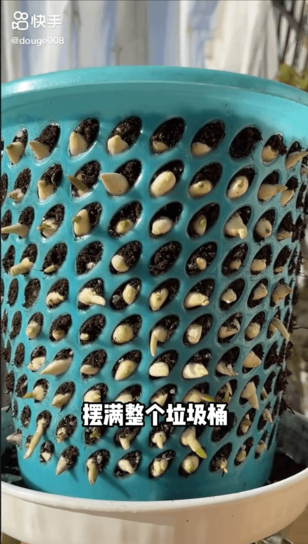 致富养鱼视频_致富经养鱼一年多赚1000万_养鱼致富经