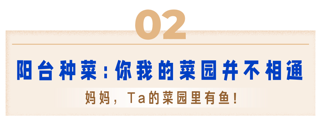 致富经养鱼一年多赚1000万_养鱼致富经_致富养鱼视频