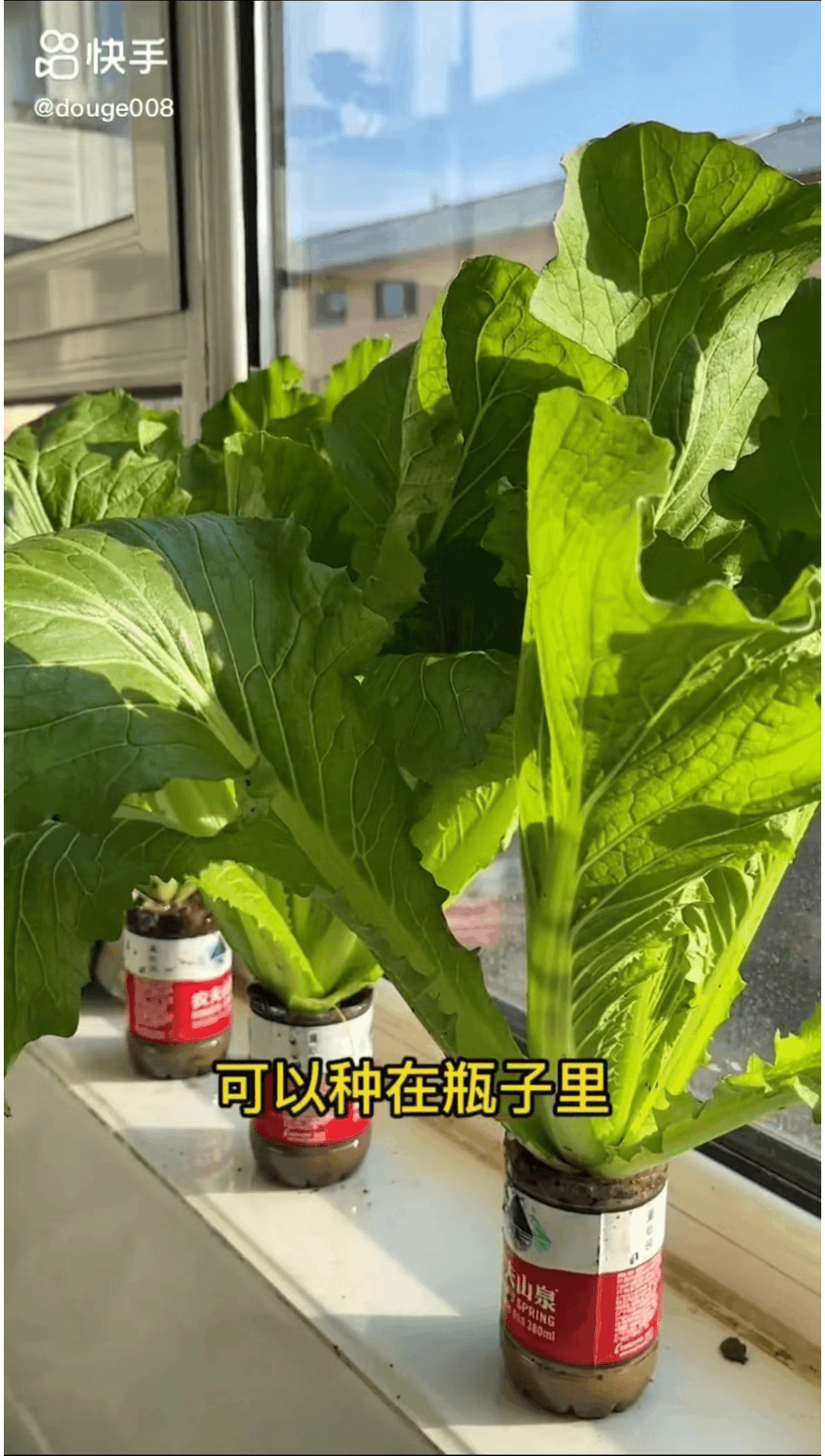 养鱼致富经_致富养鱼视频_致富经养鱼一年多赚1000万