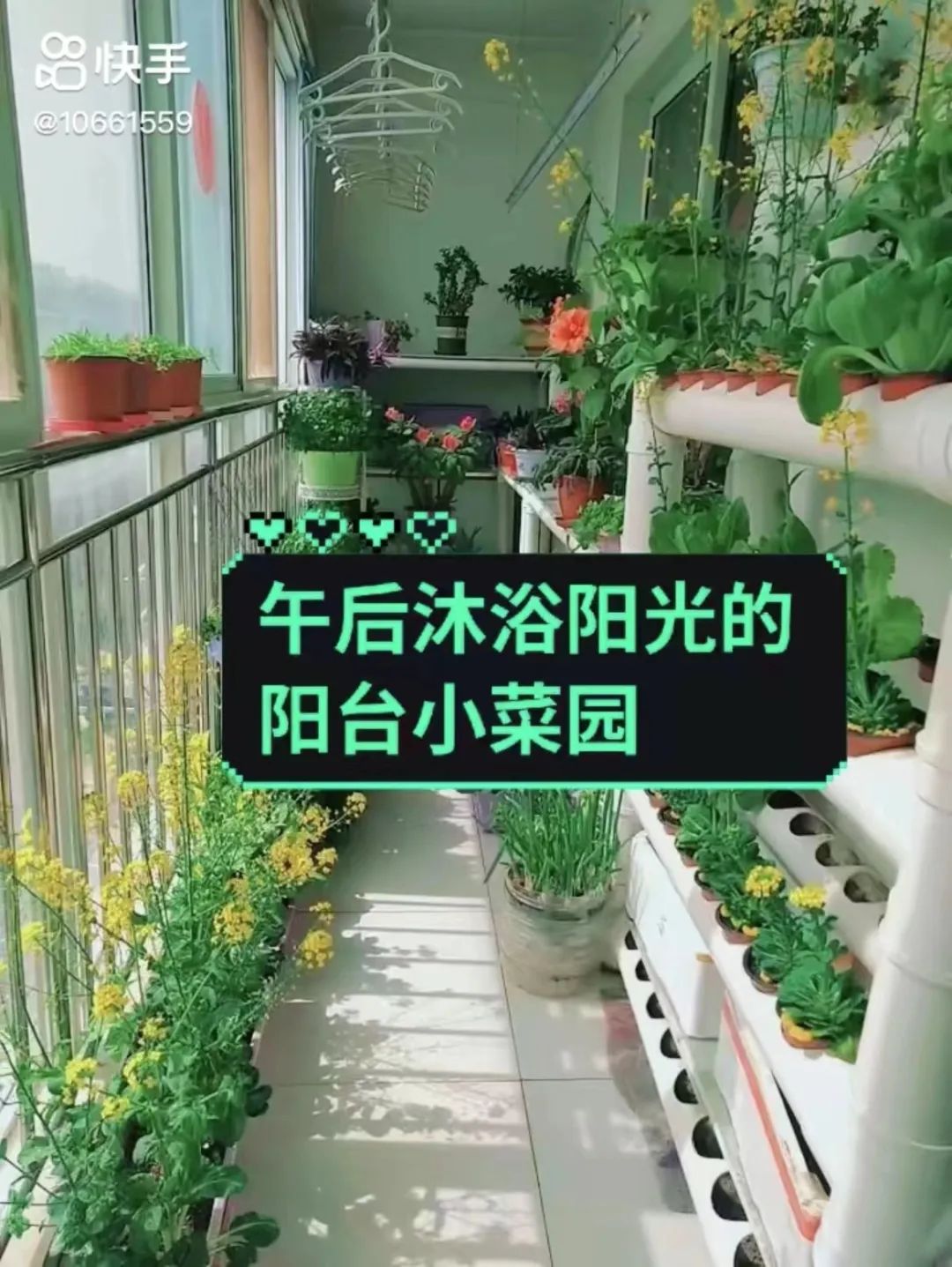 致富经养鱼一年多赚1000万_致富养鱼视频_养鱼致富经