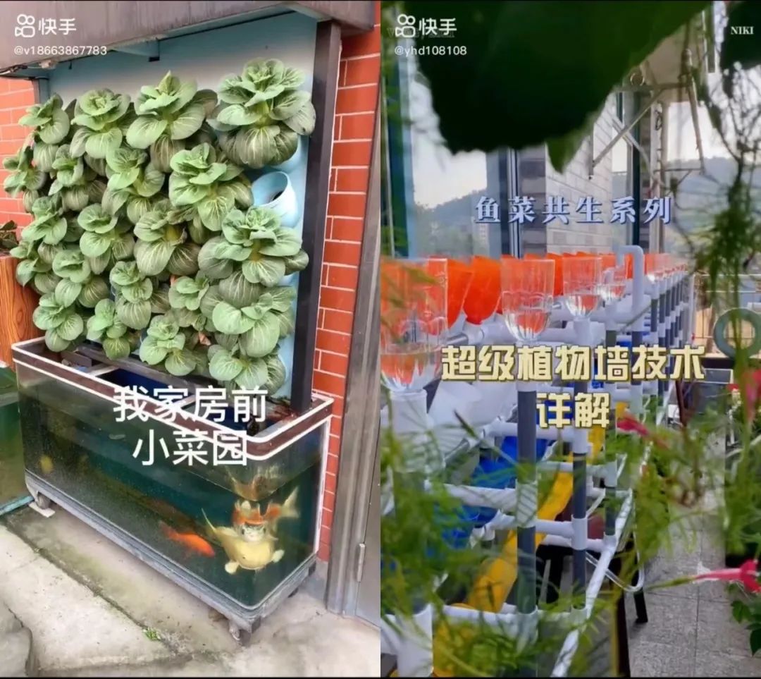 养鱼致富经_致富经养鱼一年多赚1000万_致富养鱼视频
