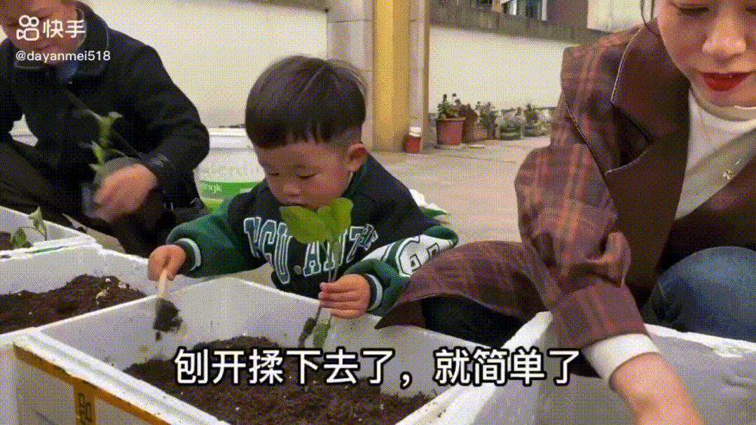 致富经养鱼一年多赚1000万_养鱼致富经_致富养鱼视频