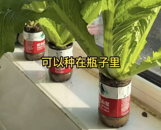 养鱼致富经_致富经养鱼一年多赚1000万_致富养鱼视频
