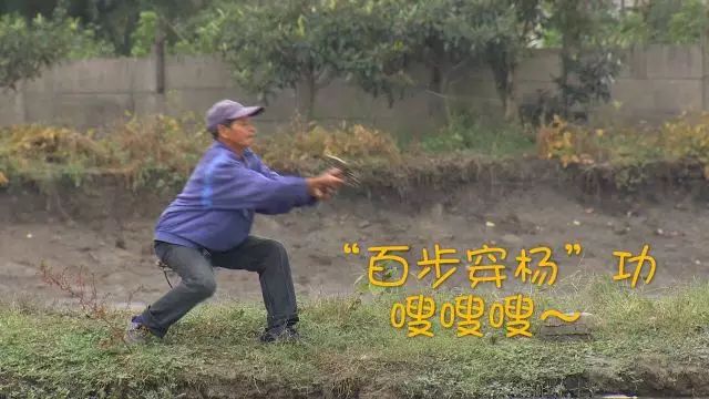 养鱼致富经_致富养鱼视频_致富经养鱼一年多赚1000万