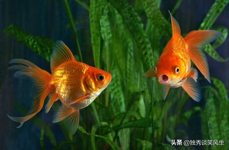 经验分享工作心得_淘宝开店心得和经验_买鱼经验心得