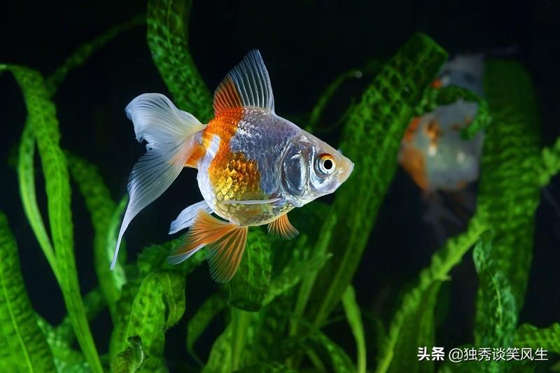 买鱼经验心得_经验分享工作心得_淘宝开店心得和经验