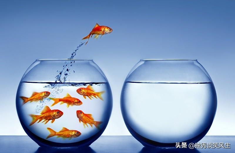 淘宝开店心得和经验_买鱼经验心得_经验分享工作心得