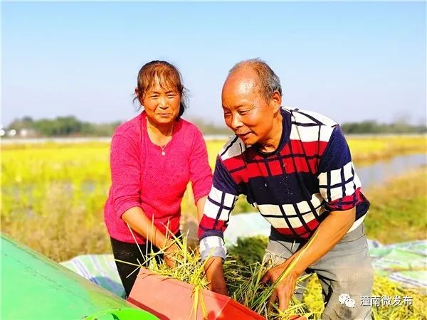 养鱼致富经_致富养鱼视频_致富经养鱼一年多赚1000万