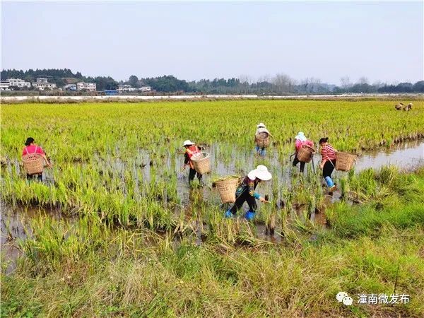 养鱼致富经_致富经养鱼一年多赚1000万_致富养鱼视频