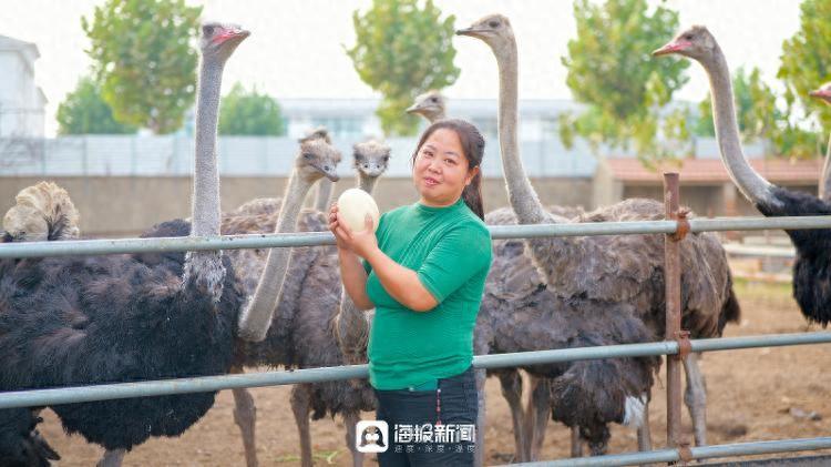 家庭致富小项目_致富经_怎样致富致富
