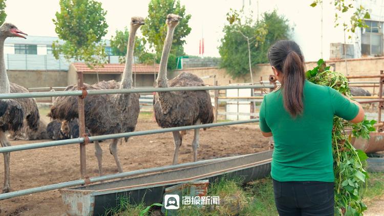 家庭致富小项目_怎样致富致富_致富经