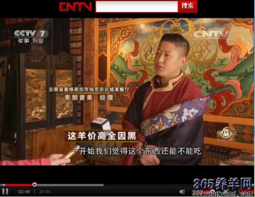 养羊致富经