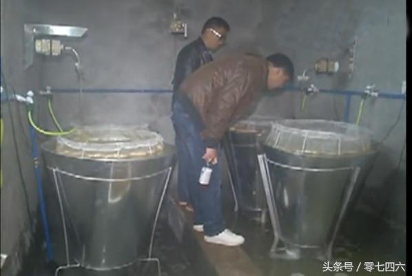 永州邓氏好兄弟，专研泥鳅青蛙养殖育苗技术，让养殖户一次成功，带动百姓脱贫致富