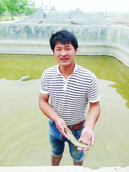泥鳅养殖户抱团致富_致富泥鳅养殖_致富经泥鳅