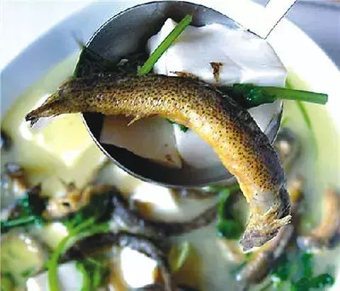 致富经泥鳅养殖_致富养殖泥鳅图片_致富养殖泥鳅怎么样