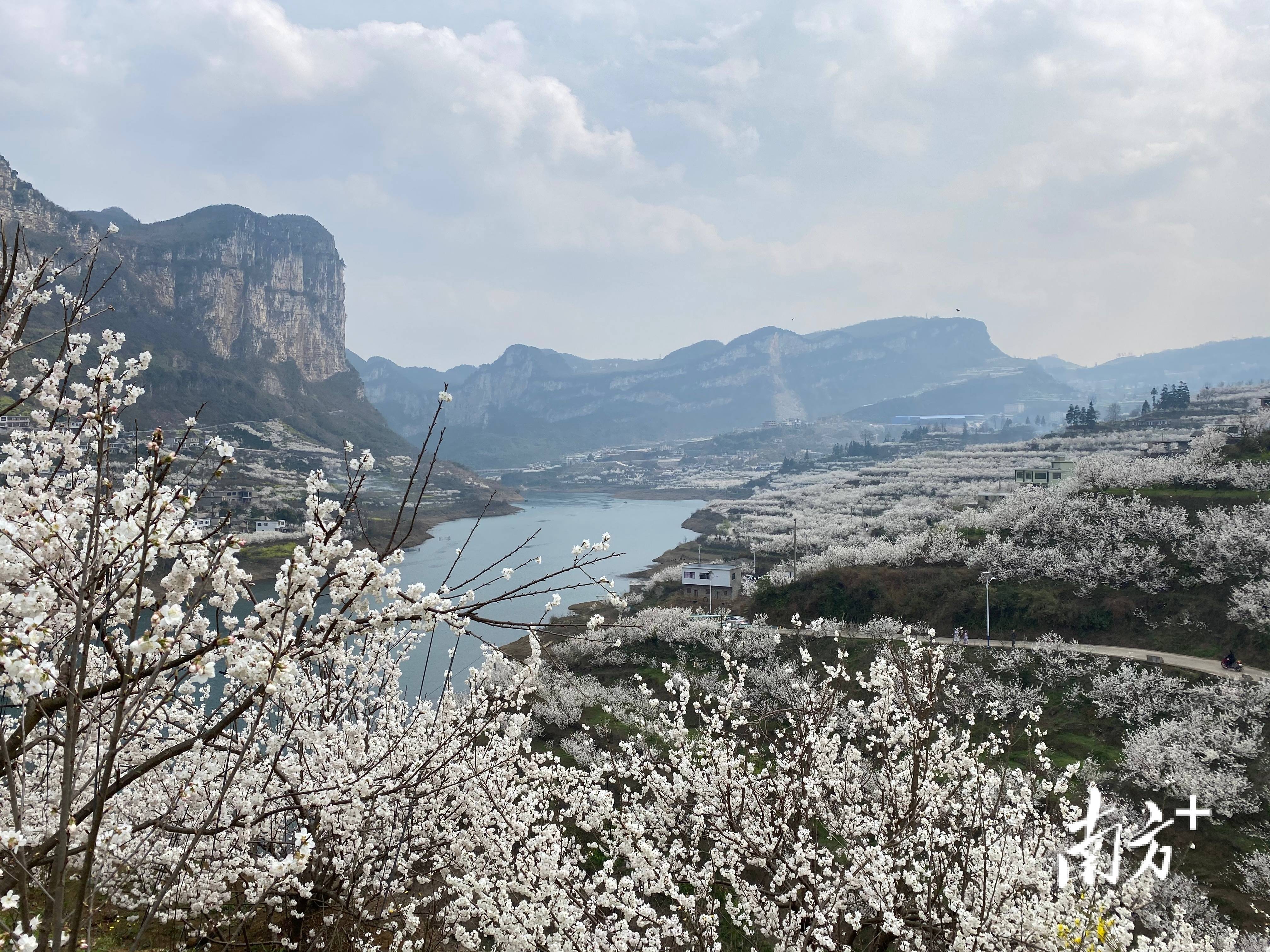 马致富画家简介图片_马致富临沂_致富经马