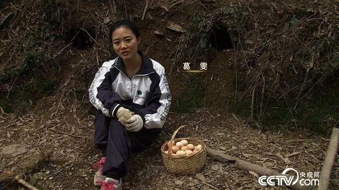 致富经 cctv7_cctv7致富經湖羊养殖视频_cctv7致富好项目