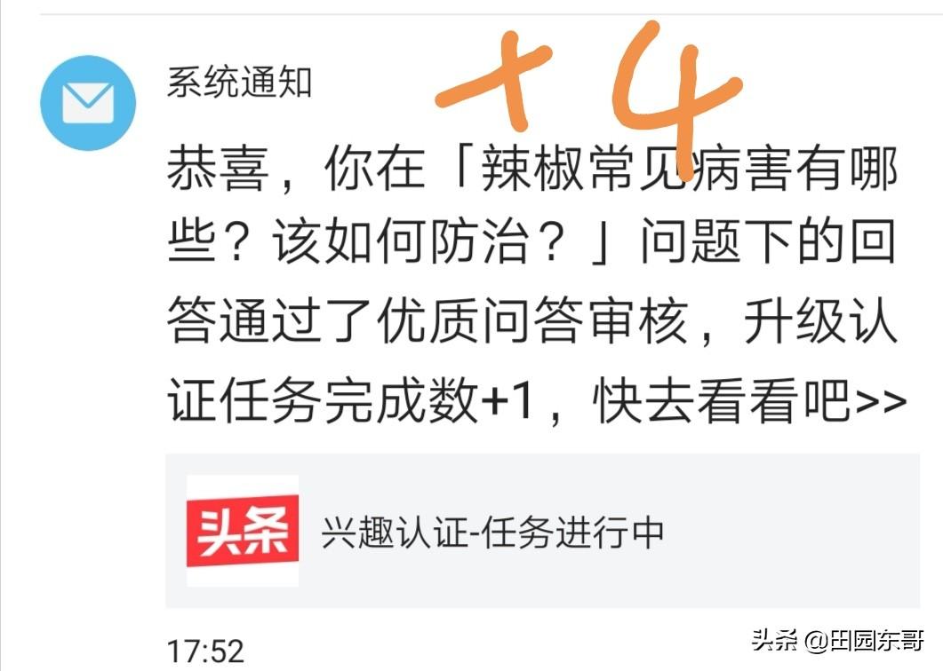 问答优质真实经验怎么写_问答优质真实经验是指_优质问答的真实经验