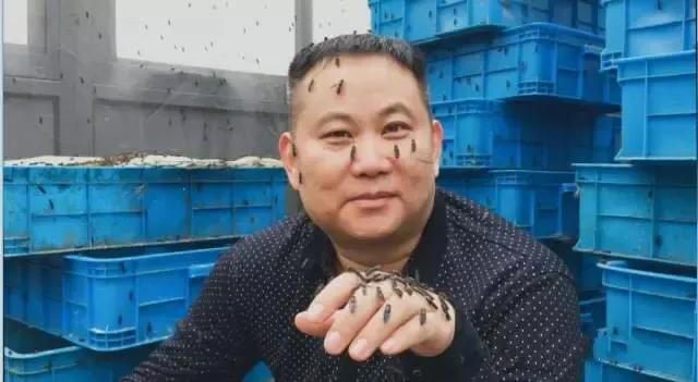 致富鱼丰收_致富鱼南岙村_致富经鱼