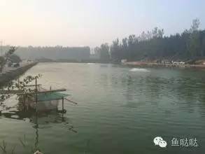 江湖钓鱼老手经验之谈，花钱买不到的黑坑技术