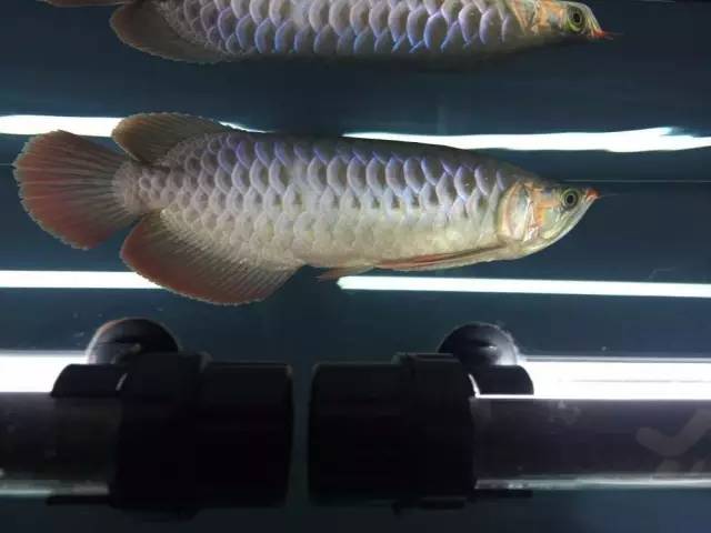 心得怎么用_淘宝开店心得和经验_买鱼经验心得