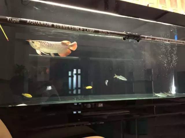 买鱼经验心得_淘宝开店心得和经验_心得怎么用