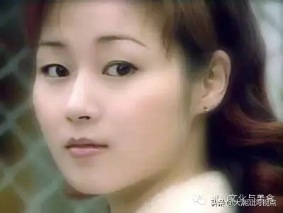 致富故事汇主持人_cctv致富经主持人_致富经主持人
