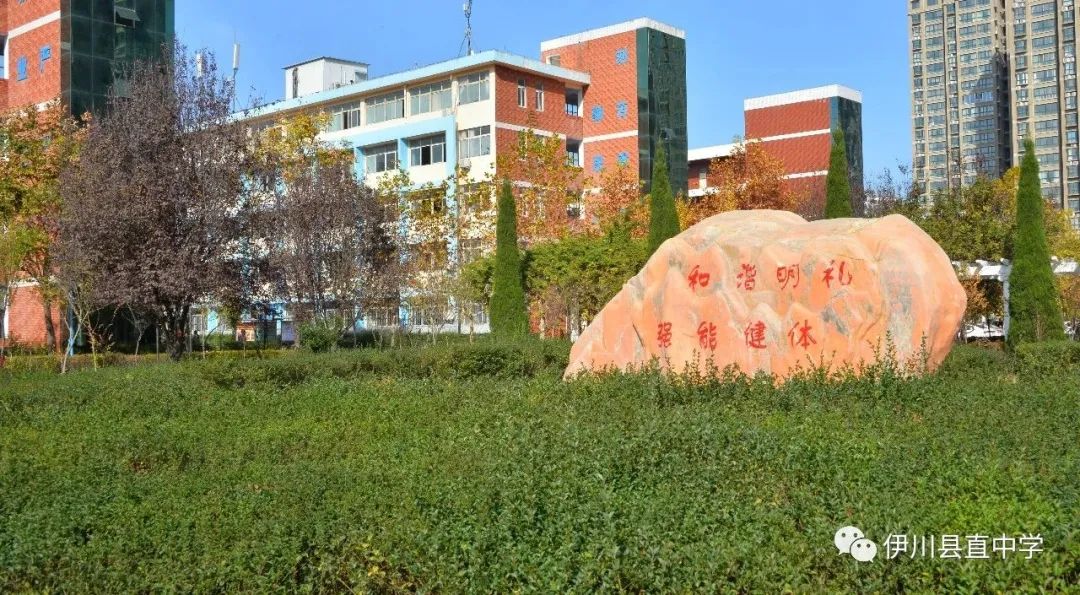 优质课个人经验材料写什么_优质课获奖经验发言稿题目_优质课老师经验分享稿