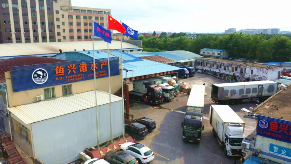 致富经养鱼一年多赚1000万_致富经养鱼视频大全集_养鱼致富经