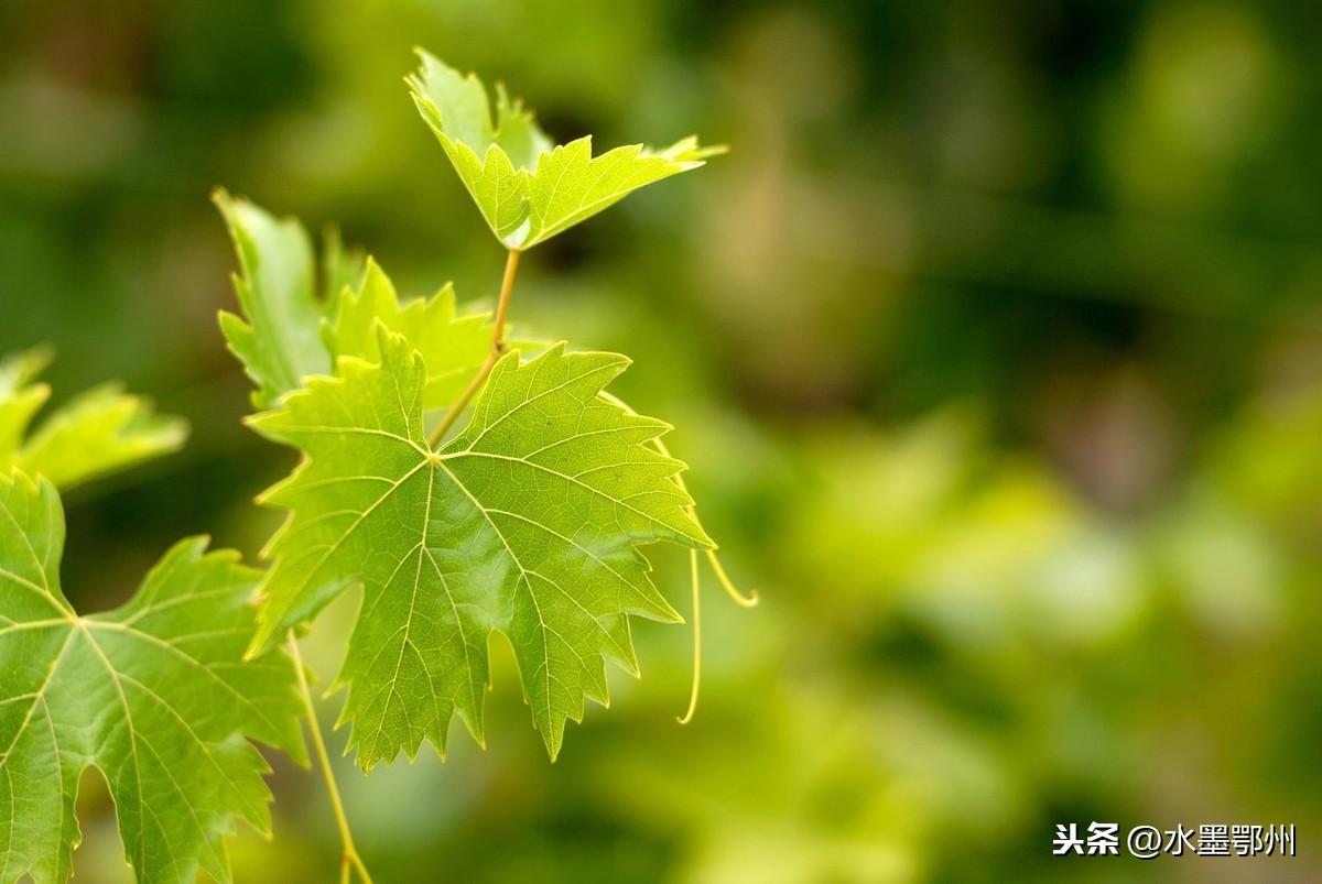 经验心得6_心得经验是什么意思_心得经验怎么写