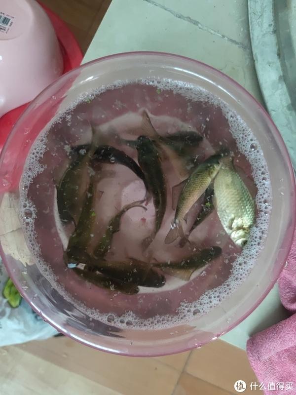 淘宝开店心得和经验_淘宝开店心得和经验分享_买鱼经验心得