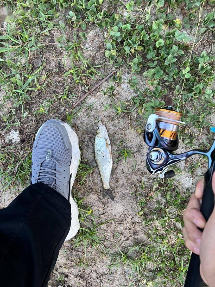 十年护肤经验护肤心得_买鱼经验心得_珠宝顾问的心得和经验