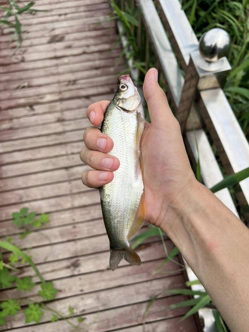 买鱼经验心得_十年护肤经验护肤心得_珠宝顾问的心得和经验