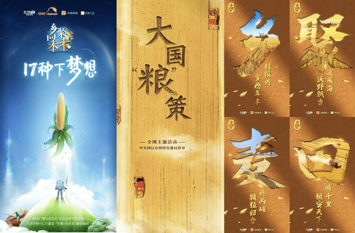 农业卫视致富项目_央视农业致富节目_农业节目致富经