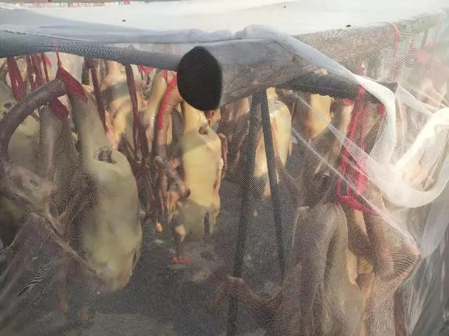 养殖鹅致富经_养鹅能致富吗_致富经养鹅