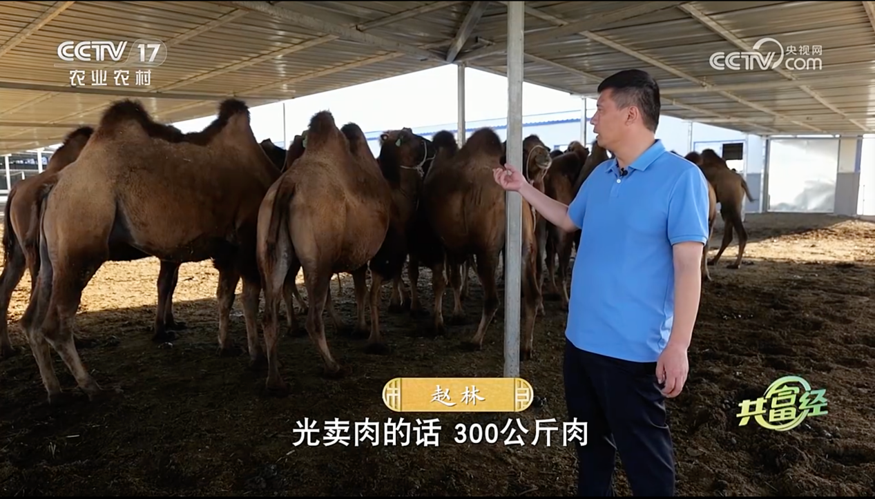 怎样致富致富_cctv致富经_致富赚钱
