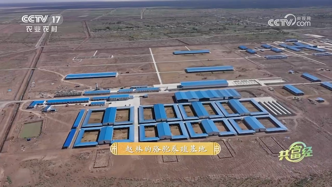 cctv致富经_致富赚钱_怎样致富致富