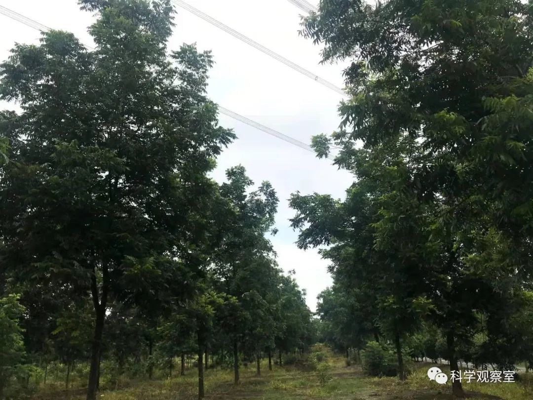 村庄借鉴优质规划经验材料_优秀村庄规划案例_借鉴优质村庄规划经验材料