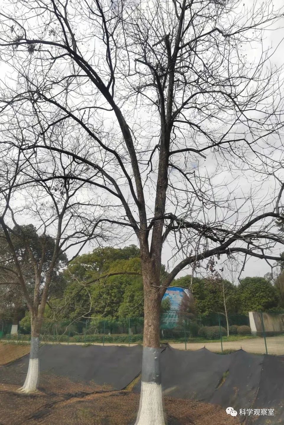 村庄借鉴优质规划经验材料_借鉴优质村庄规划经验材料_优秀村庄规划案例