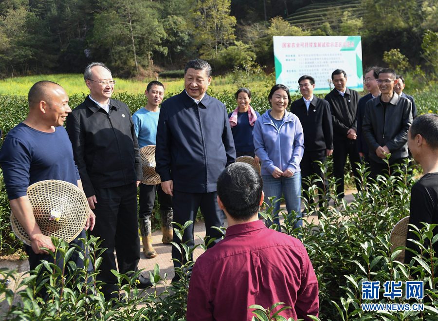 致富种植糖料蔗文案怎么写_致富种植业_致富经种植