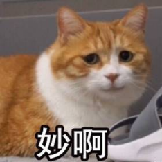 无经验考过注会的心得_没经验考注会有用吗_无经验考过注会大家工资多少
