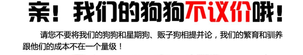 致富经养殖肉狗